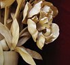 Peonijas