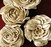 Rozes