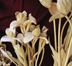Peonijas, īrisi un tulpes