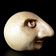 Pea-head